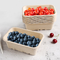 Βιοδιασπάσιμος δίσκος φρούτων βαγάσσης με τις τρύπες για τη φράουλα βακκινίων